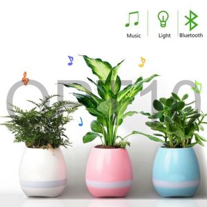 Flower Plant Box Smart Music Pot